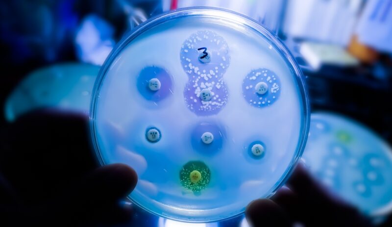 Estudo sobre Resistência Antimicrobiana (RAM)