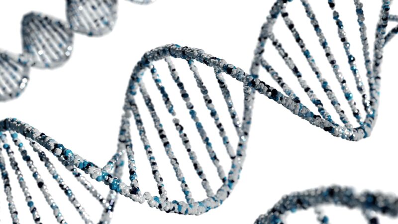 Ilustração de uma dupla hélice de DNA composta por esferas azuis, pretas e brancas, representando a estrutura genética humana em destaque sobre fundo branco