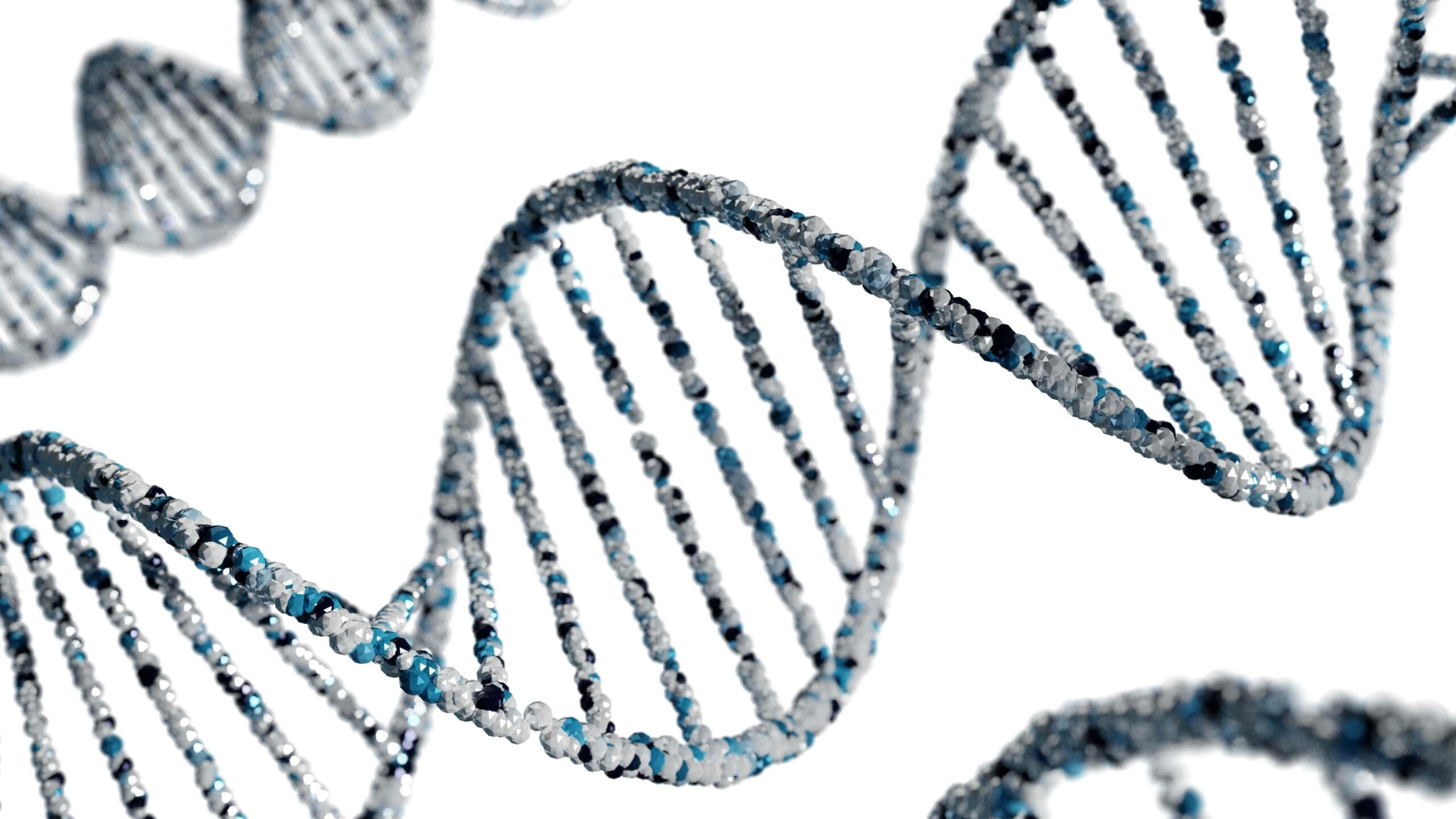 Ilustração de uma dupla hélice de DNA composta por esferas azuis, pretas e brancas, representando a estrutura genética humana em destaque sobre fundo branco