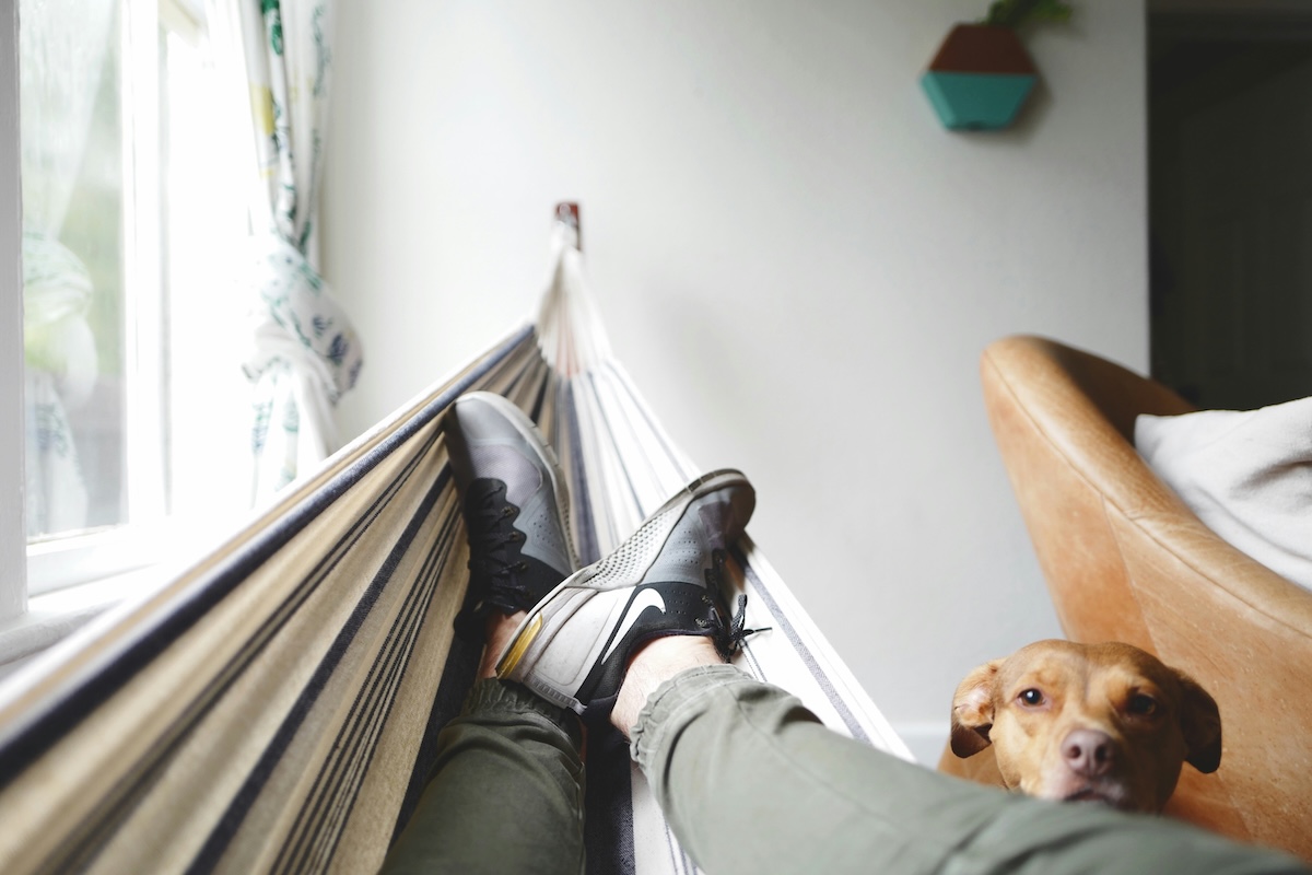 Subjective point of view of a person lying in a striped indoor hammock, wearing Nike sneakers with their feet crossed. To the right, a medium-sized caramel-colored dog looks directly at the camera. In the background, there is a window with a floral curtain and a potted plant on the wall.