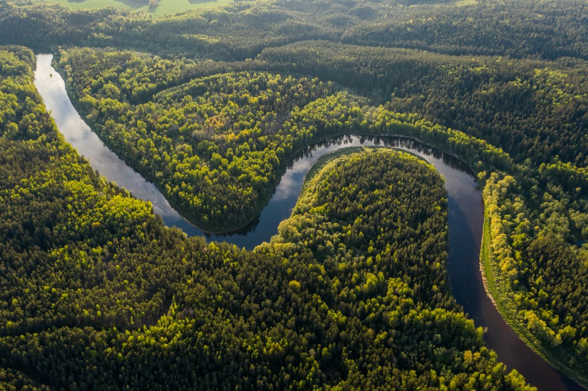 Vista aérea de uma extensa área de floresta atravessada por um rio sinuoso. A imagem destaca a presença de vegetação densa e cursos d’água em uma paisagem natural preservada.